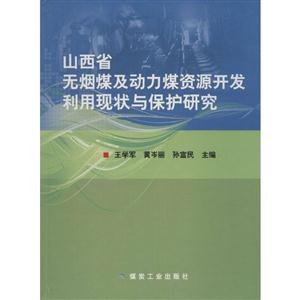 山西省无烟煤及动力煤资源开发利用现状与保护研究