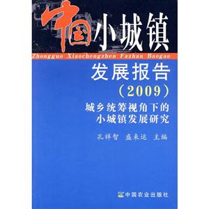 中国小城镇发展报告(2009)