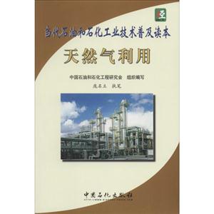 天然气利用-当代石油和石化工业技术普及读本