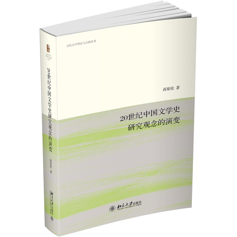 文化诗学理论与实践丛书20世纪中国文学史研究观念的演变