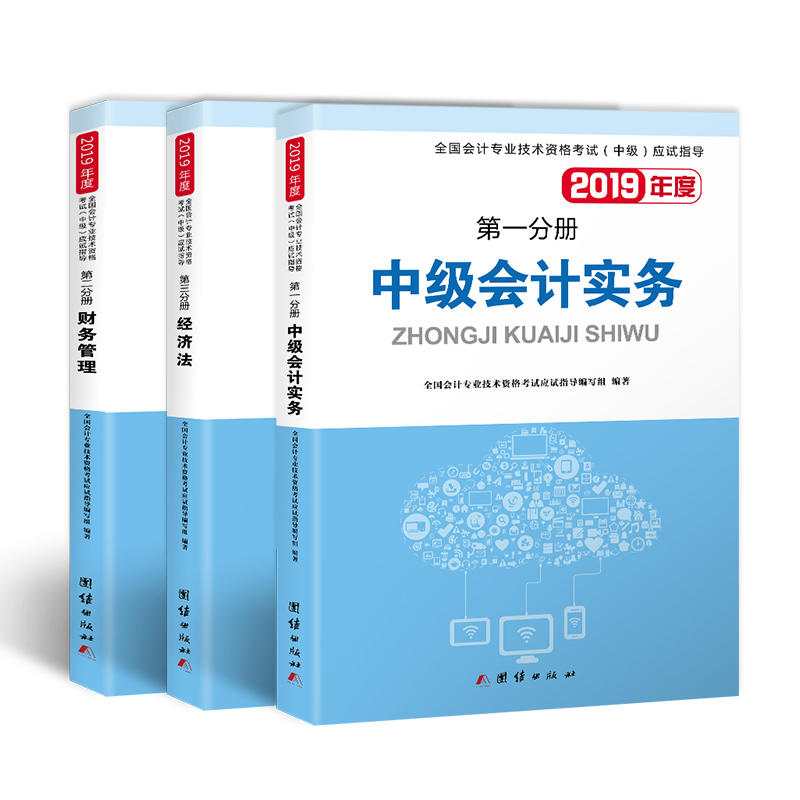 中级会计职称考试2019应试指导中级会计实务+经济法+财务管理(泰