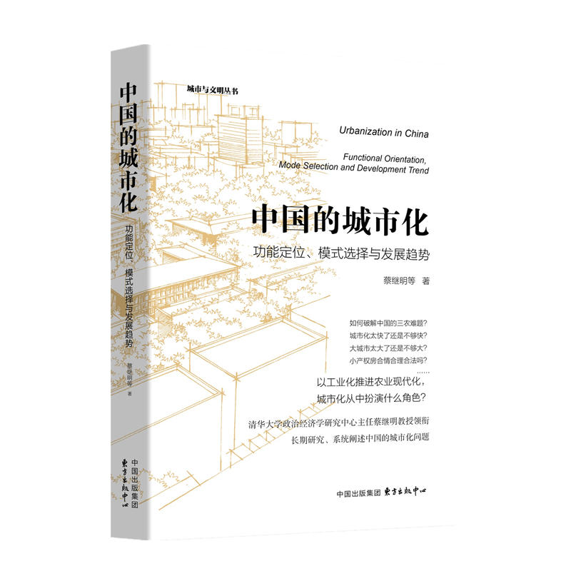 中国的城市化:功能定位、模式选择与发展趋势