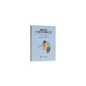 铜阳极泥卡尔多炉法提取工艺