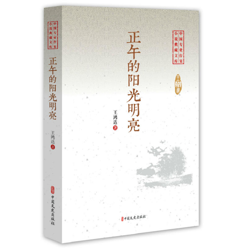 中国专业作家小说典藏文库:正午的阳光明亮