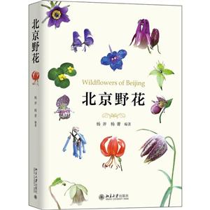 北京野花