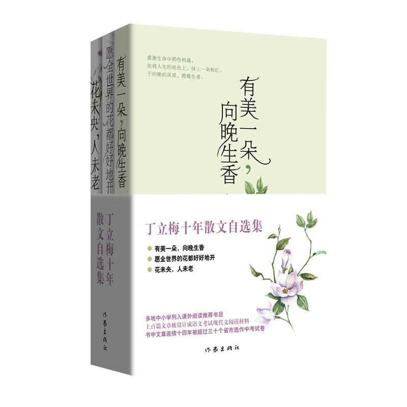 丁立梅十年散文自选集(2019版)