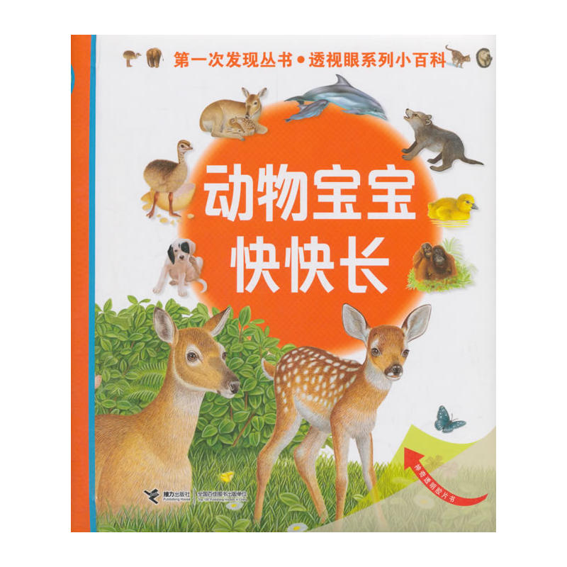 动物宝宝快快乐-神奇透明胶片书