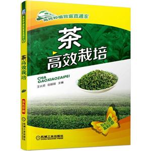 高效种植致富直通车茶高效栽培