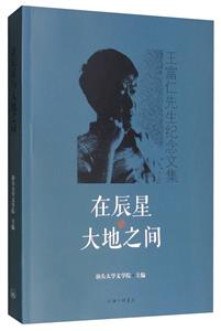 在辰星与大地之间----王富仁先生纪念文集