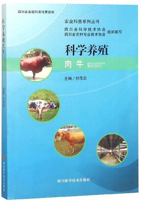 科学养殖肉牛