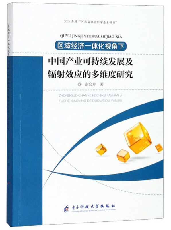 区域经济一体化视角下中国产业可持续发展及辐射效应的多维度研究