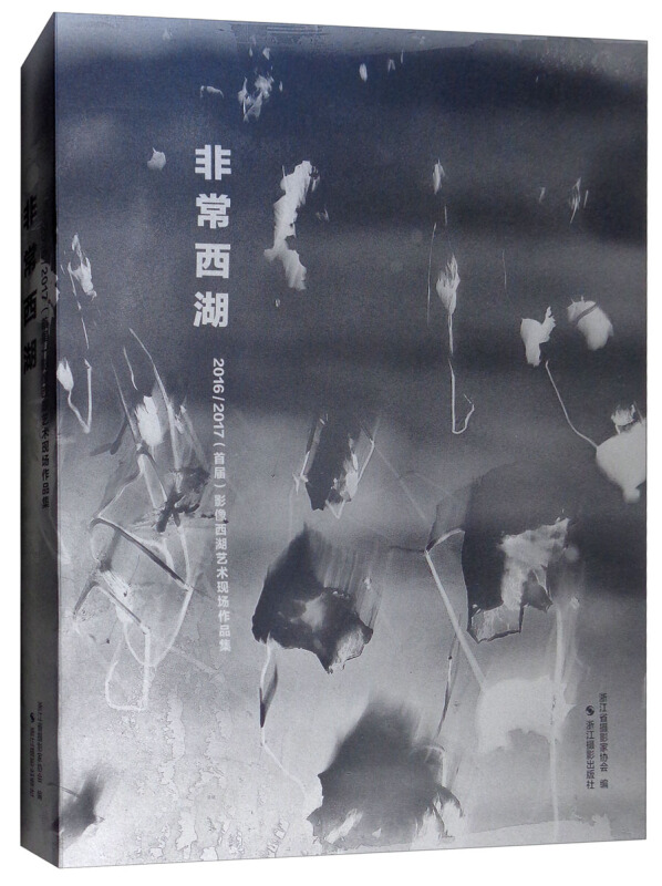 非常西湖:2016:2017(首届)影像西湖艺术现场作品集