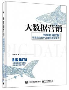 大数据营销:如何利用数据精准定位客户及重构商业模式