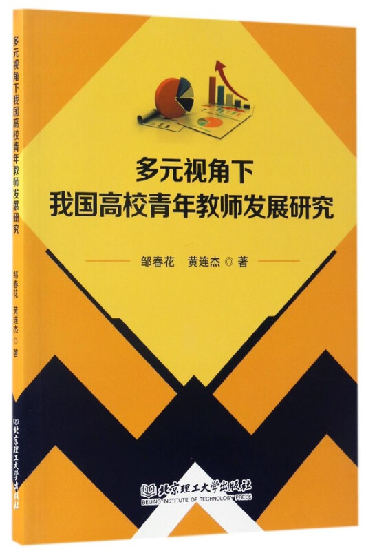 多元视角下我国高校青年老师发展研究