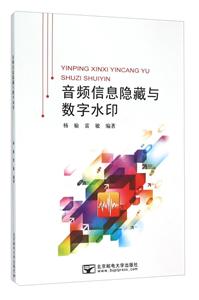音频信息隐藏与数字水印