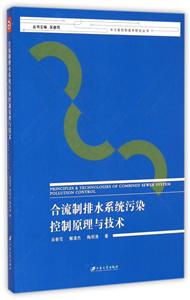 合流制排水系统污染控制原理与技术