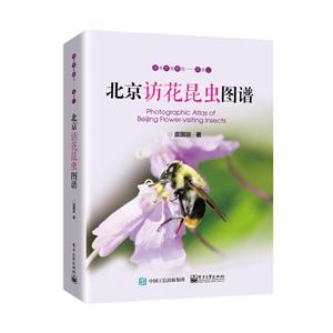 鉴虫赏虫趣虫――昆虫记北京访花昆虫图谱