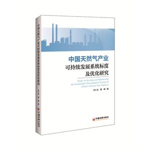 中国天然气产业可持续发展系统标度及优化研究