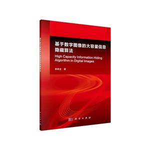 基于数字图像的大容量信息隐藏算法