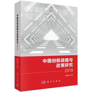 019-中国创新战略与政策研究"