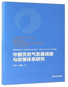 中国页岩气发展战略与政策体系研究