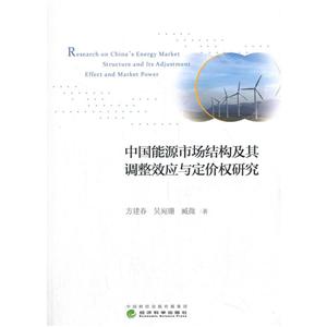 中国能源市场结构及其调整效应与定价权研究