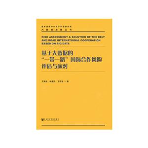 大数据发展丛书基于大数据的一带一路国际合作风险评估与应对