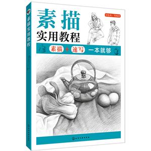 素描实用教程