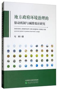 地方政府环境治理的驱动机制与减排效应研究