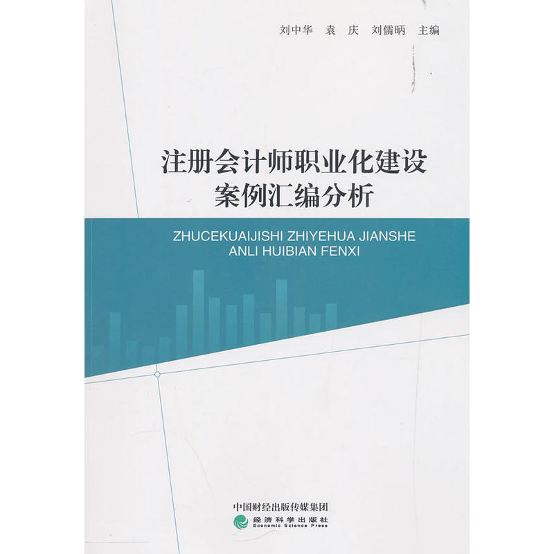 注册会计师职业化建设案例汇编分析