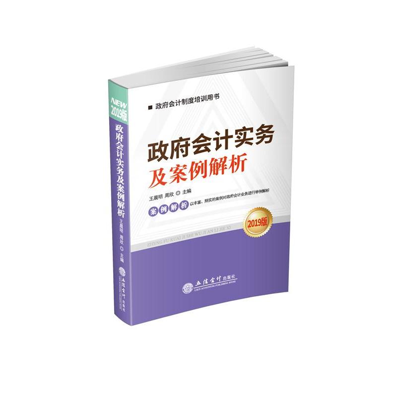 政府会计实务及案例解析:2019版