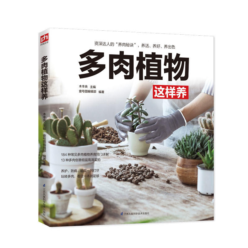 多肉植物这样养