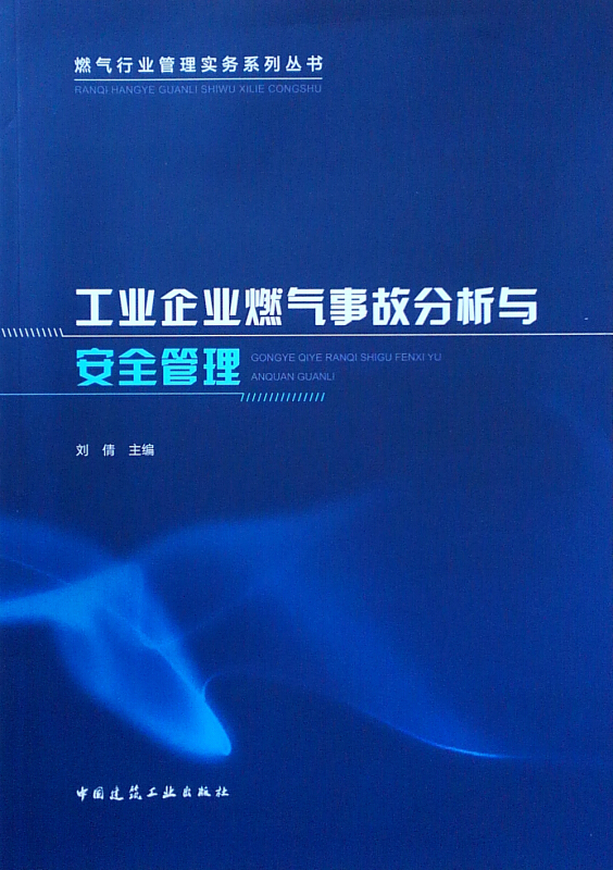 燃气行业管理实务系列丛书工业企业燃气事故分析与安全管理