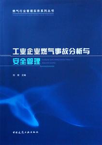 燃气行业管理实务系列丛书工业企业燃气事故分析与安全管理