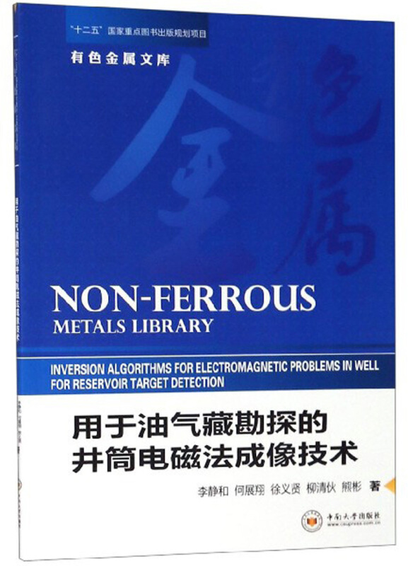 用于油气藏勘探的井筒电磁法成像技术