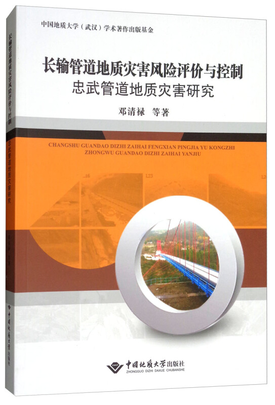 长输管道地质灾害风险评价与控制忠武管道地质灾害研究