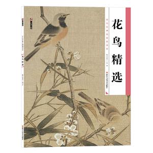 花鸟精选