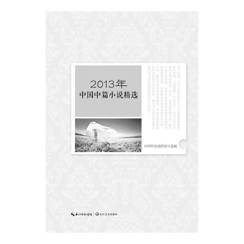 2013年中国中篇小说精选