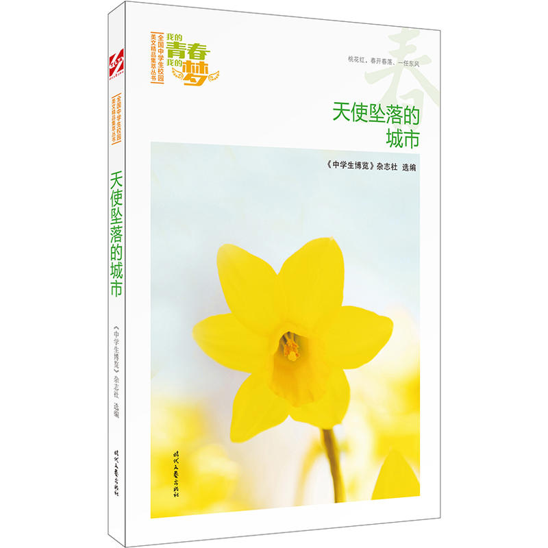 我的青春我的梦:天使坠落的城市(春)