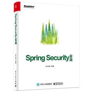 SPRING SECURITYʵս