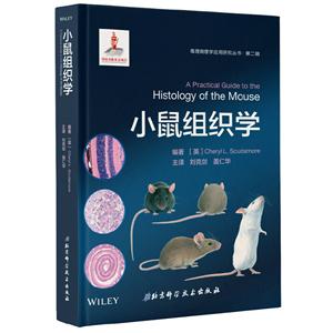 小鼠组织学