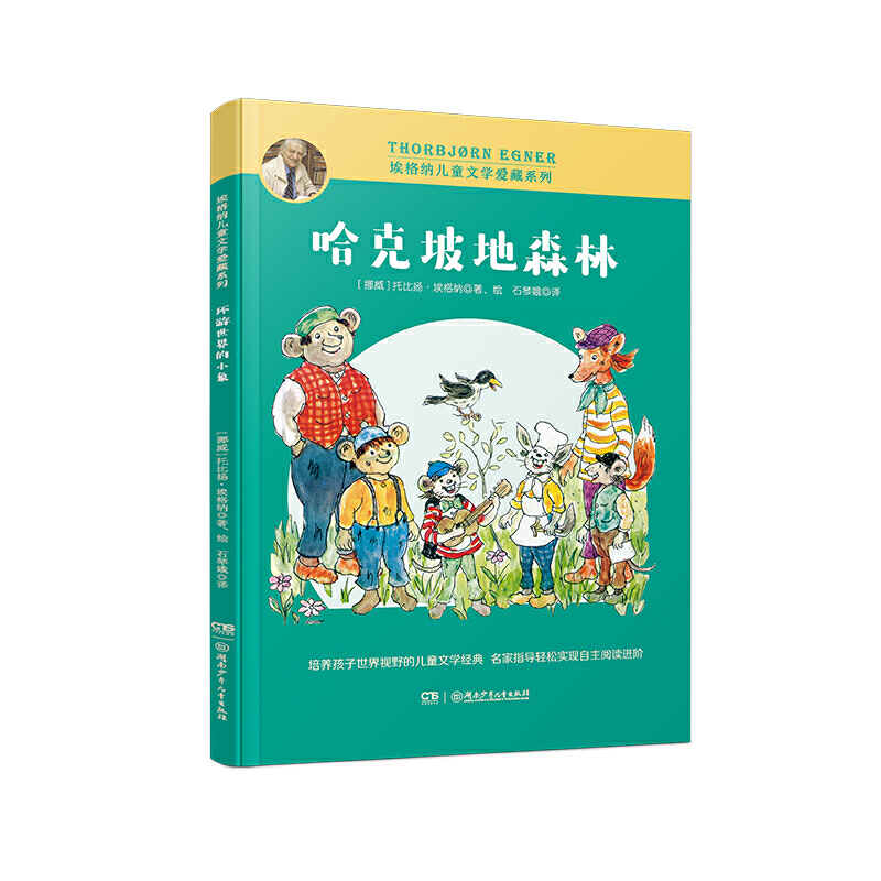 埃格纳儿童文学爱藏系列:哈克坡地森林(插图版)