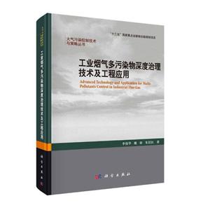 工业烟气多污染深度治理技术及工程应用