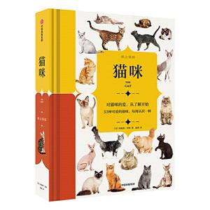 纸上景观:猫咪