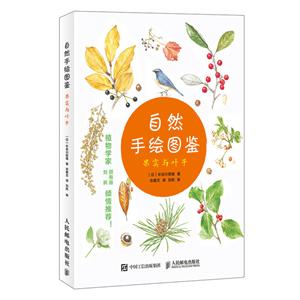 中小学自然手绘图鉴:果实与叶子