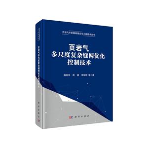 页岩气多尺度复杂缝网优化控制技术