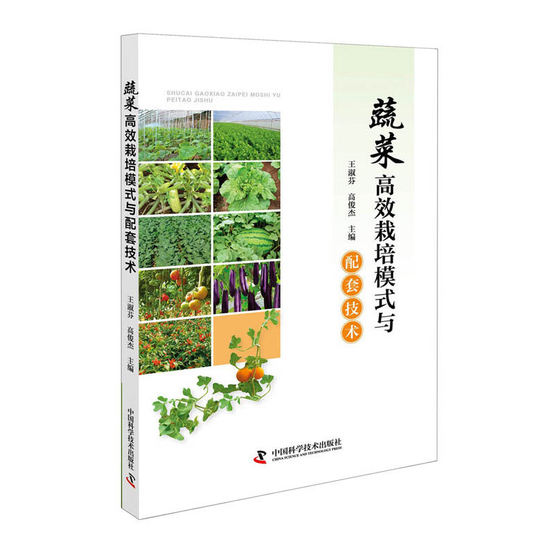 蔬菜高效栽培模式与配套技术