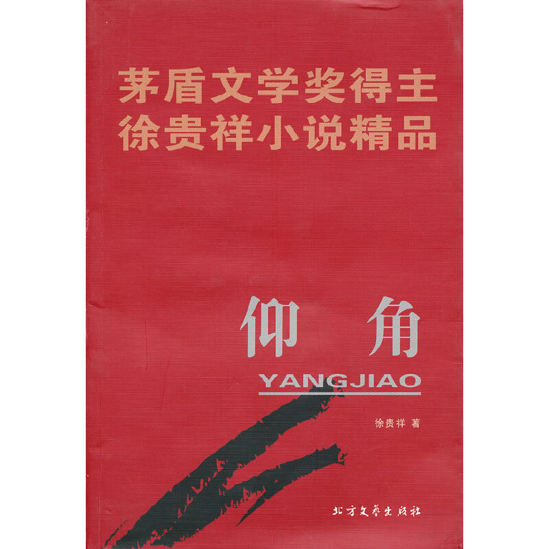 仰角-茅盾文学奖得主徐贵祥小说精品