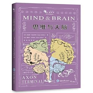 懒蚂蚁青少年科普丛书:思维与大脑