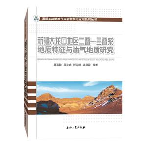 新疆大龙口地区二叠-三叠系地质特征与油气地质研究